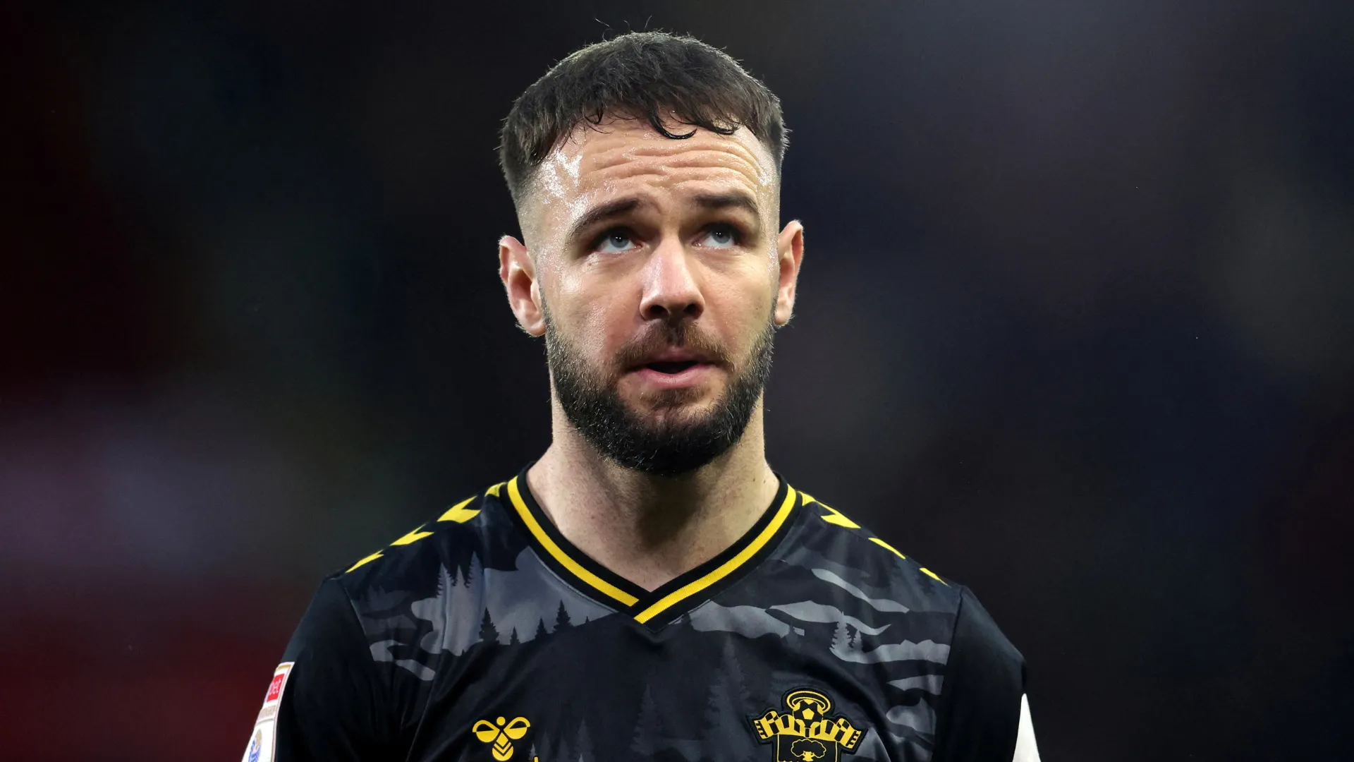 Adam Armstrong trong màu áo Southampton ăn mừng bàn thắng tại Championship