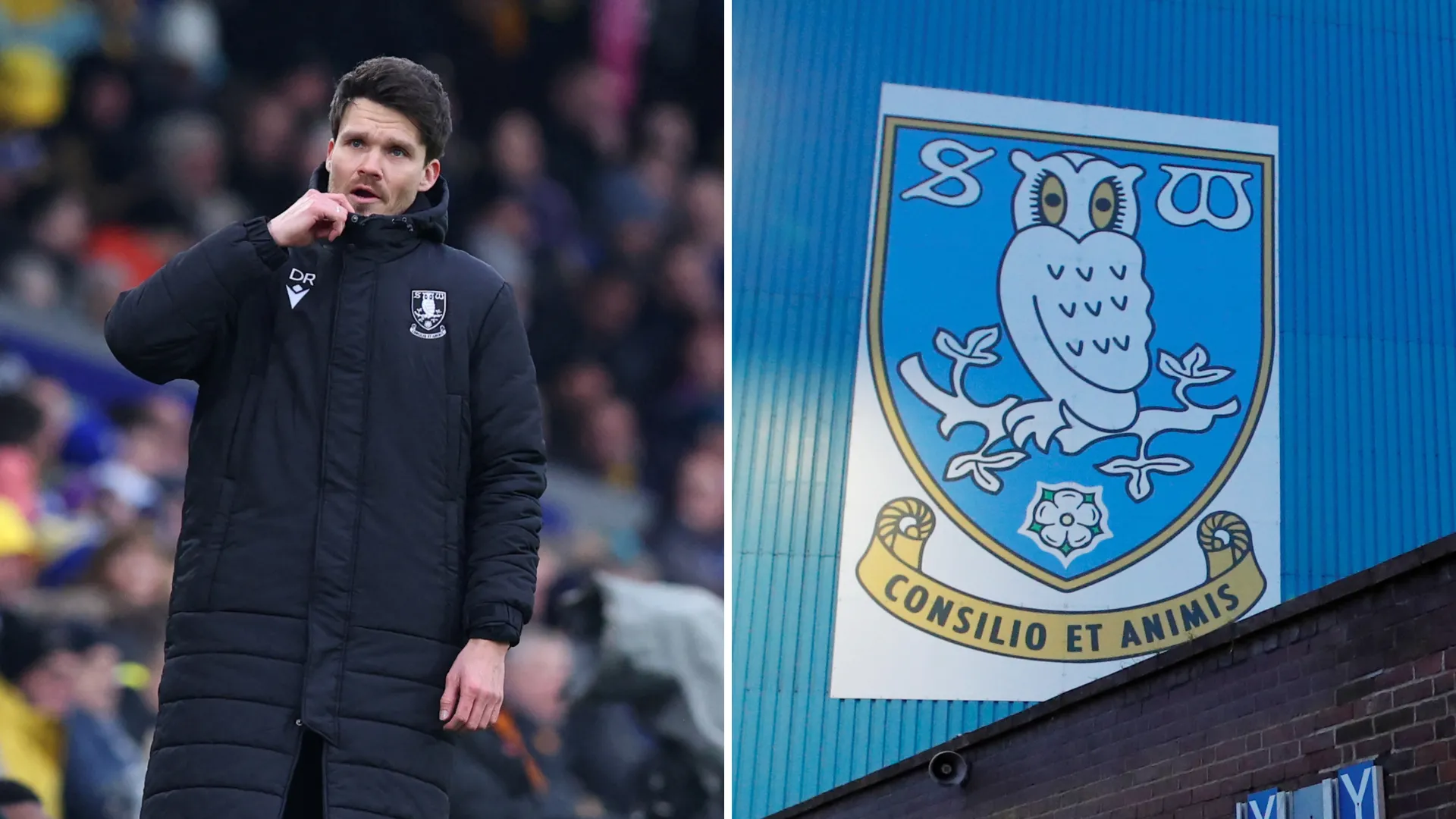 Danny Röhl chỉ đạo các cầu thủ Sheffield Wednesday trong một buổi tập