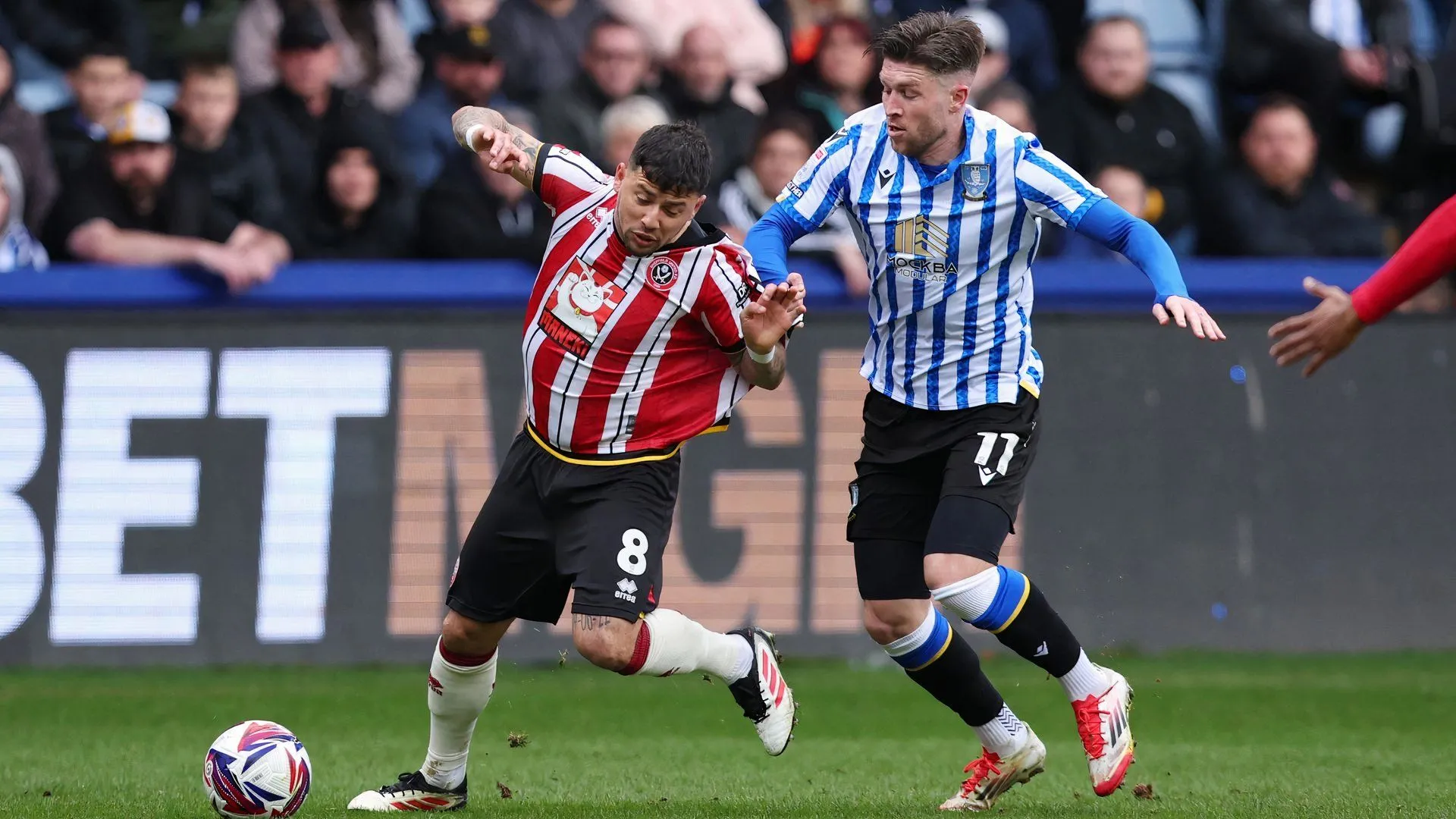 Josh Windass trong màu áo Sheffield Wednesday thi đấu máu lửa trong trận derby với Sheffield United.
