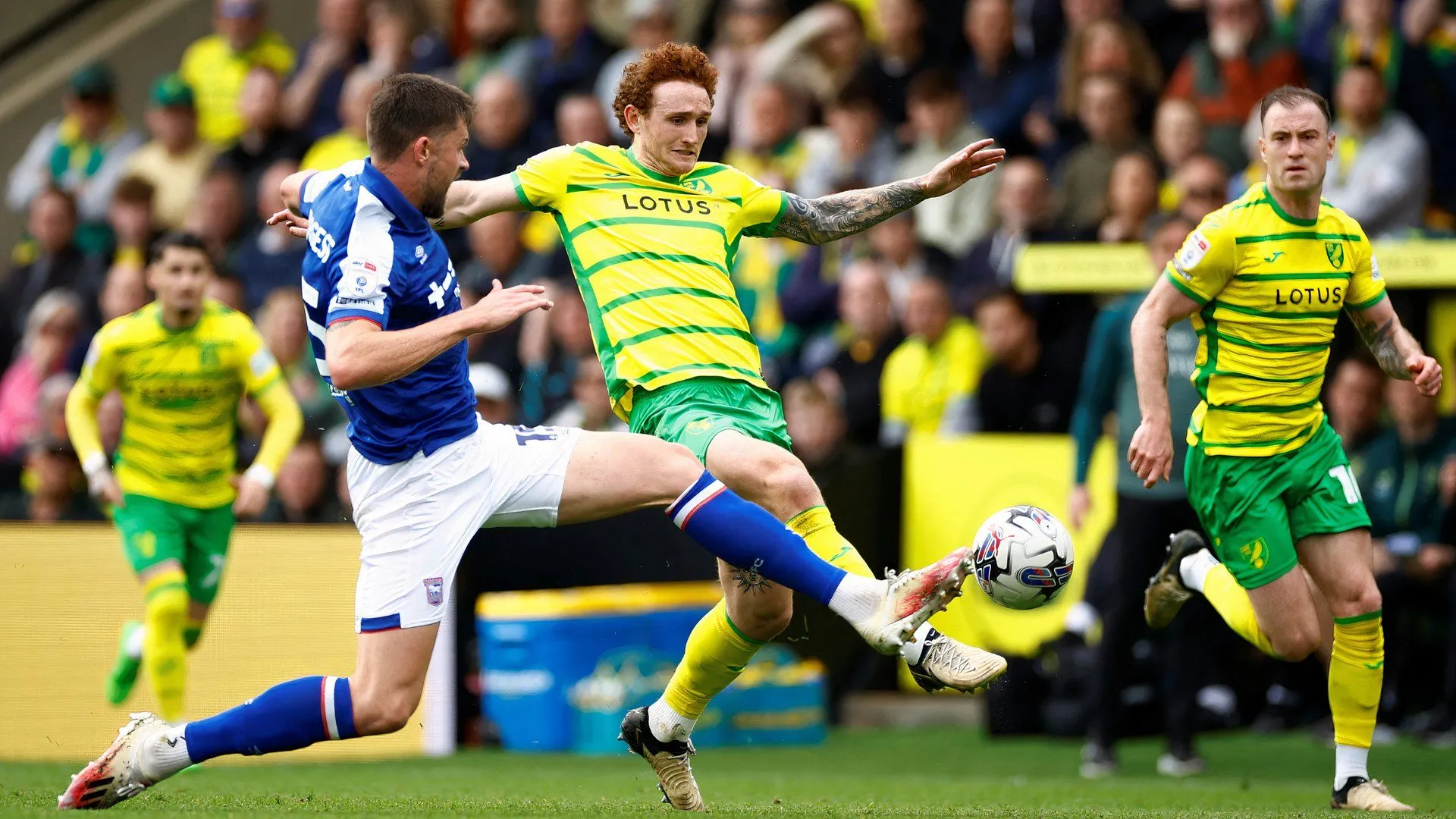 Josh Sargent của Norwich City trên sân cỏ, tâm điểm thị trường chuyển nhượng bóng đá Anh.